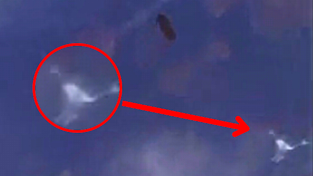 A very real UFO or very real creature was definitely filmed at the ISS.