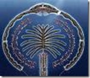 palm3