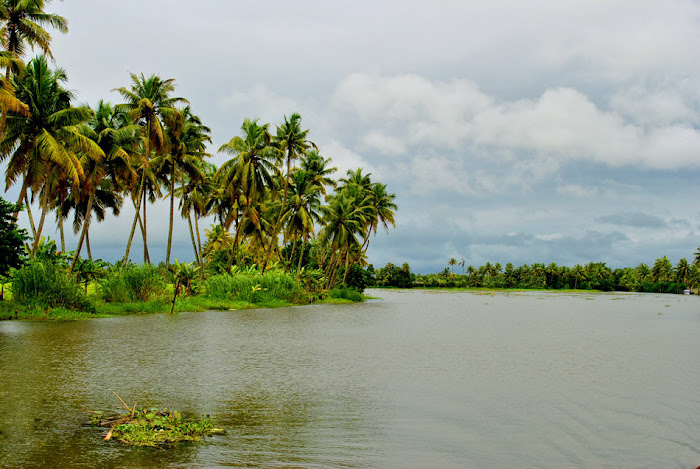 Kerala Gods on country ! Kumarakom Backwaters Beautiful Photos