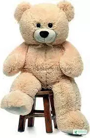 Teddy Bear Pic Download - Teddy Bear Pic 2023 - Teddy Bear Pic Download - teddy bear pic - NeotericIT.com - Image no 12