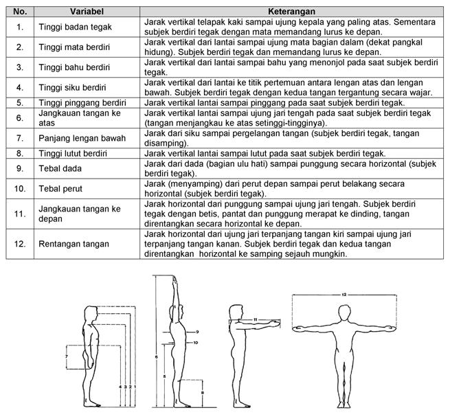 Variabel Antropometri  pada Posisi Berdiri