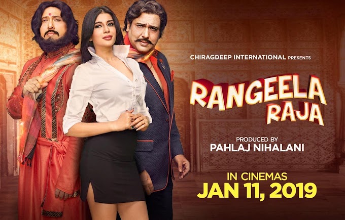 Rangeela Raja (2019) Hindi Full HD 700MB Download