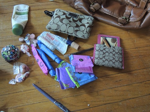 Purse 002