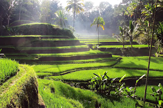 9 Best Hotel Recommendations in Bali in 2022