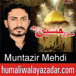 https://humaliwalaazadar.blogspot.com/2019/08/muntazir-mehdi-nohay-2020.html