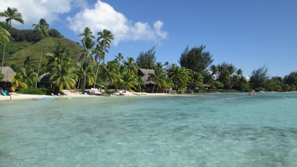 Plage de sable blanc bordée de cocotiers à Hauru, Moorea