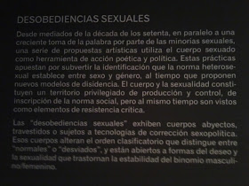 Museo Reina Sofía, MNCARS, Exposiciones temporales, Exposiciones actuales, Perder la forma humana, Arte, América Latina, Cono Sur, Voa Gallery Blog,