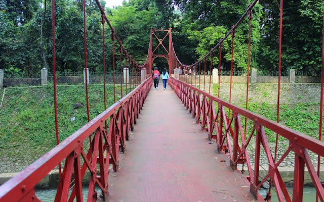 5 Mitos Kebun Raya Bogor yang Bikin Kamu Penasaran Ingin 