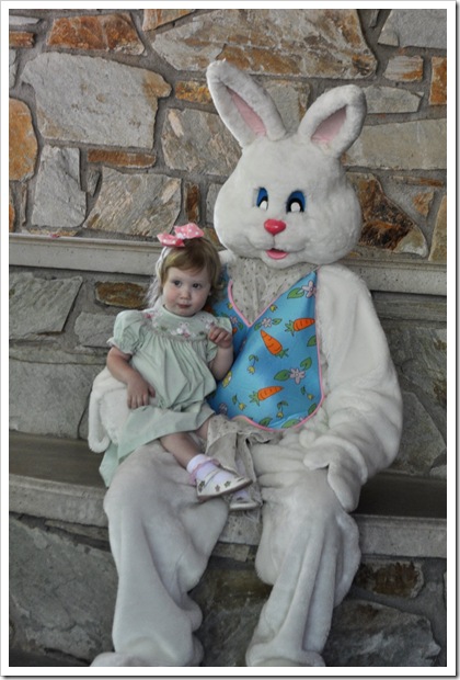 ec bunny
