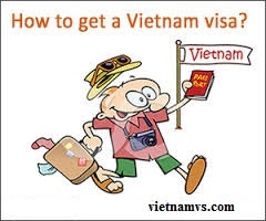 Welcome to The Embassy of Vietnam in South Africa