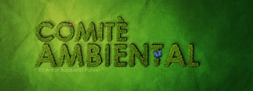 El Comitè Ambiental de l'IES Anton Busquets i Punset