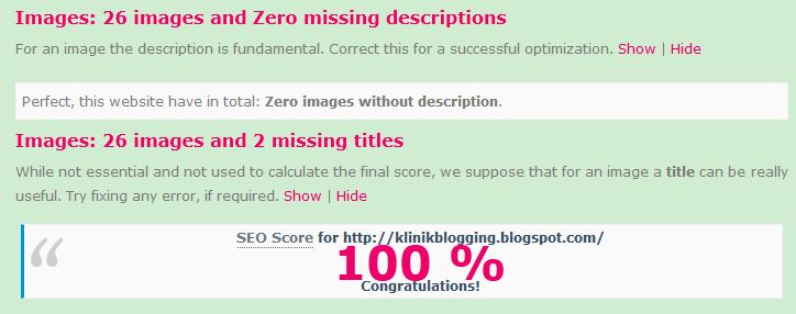 skor seo blog 100