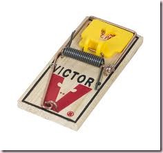 mouse trap