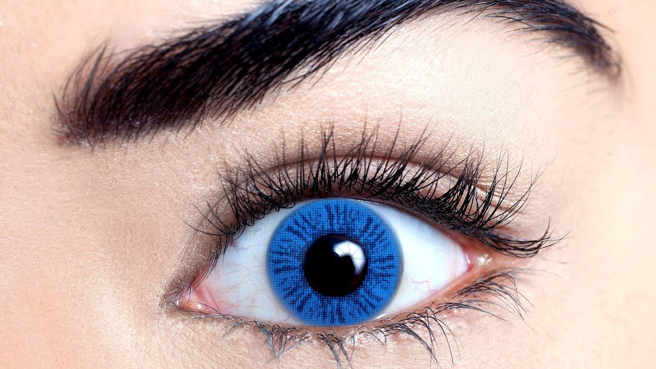 Daily Eye Contacts