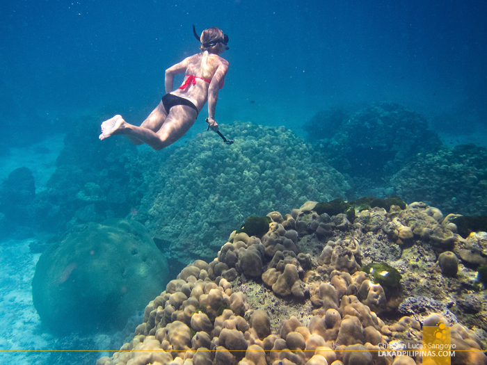 Koh Rok Snorkeling Tour Thailand