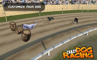 Crazy Dog Racing Apk