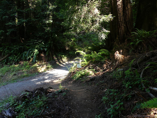 trail and sign and road