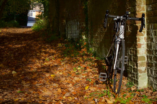 Copthorne on Monday autumn leaves bike against a wall