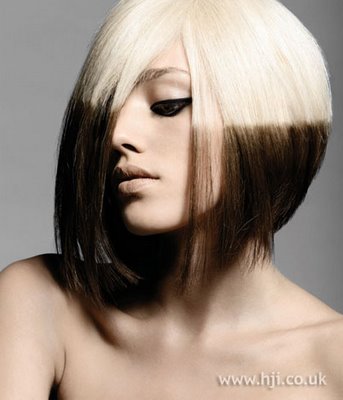 two toned hair color ideas for black. two tone hair color ideas for