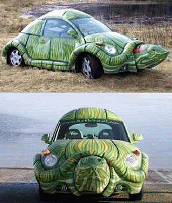 turtle car