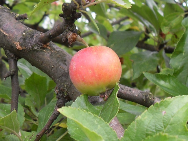 September 2012