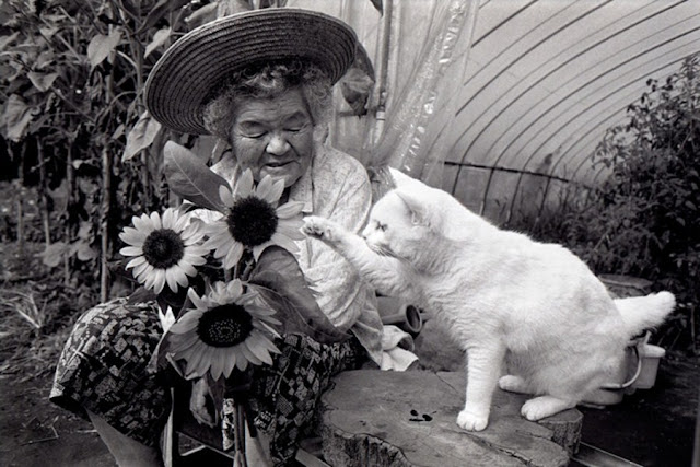 A grandma and her cat are best friends, Misa and Fukumaru, odd eyed cat