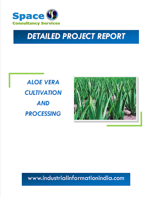 Aloe Vera Cultivation and Processing Project Report