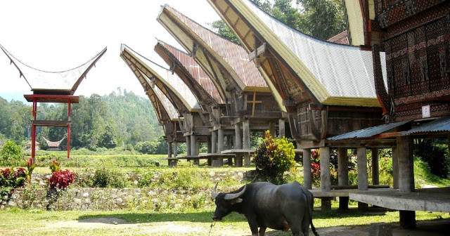 Kumeok Memeh Dipacok Rumah Adat Suku Toraja di Sulawesi 