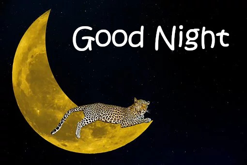 Latest Best Good Night Images