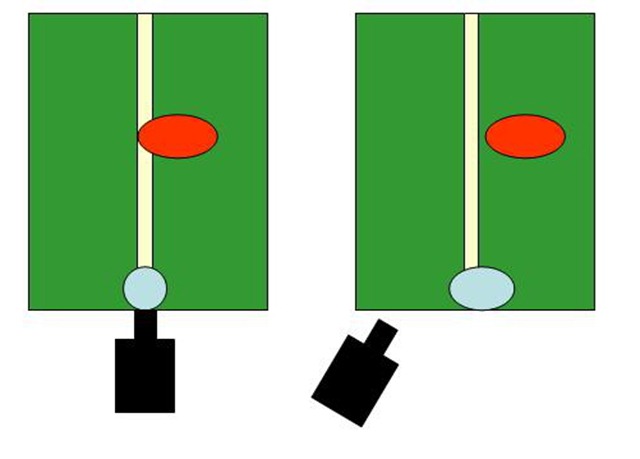 goalline video