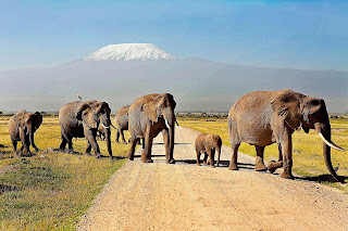 http://www.1-day-tours-in-kenya.com