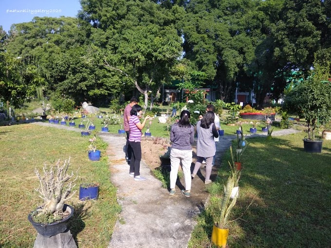 Manfaat Berjemur Setiap Pagi