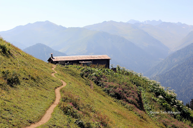 pokut yaylası