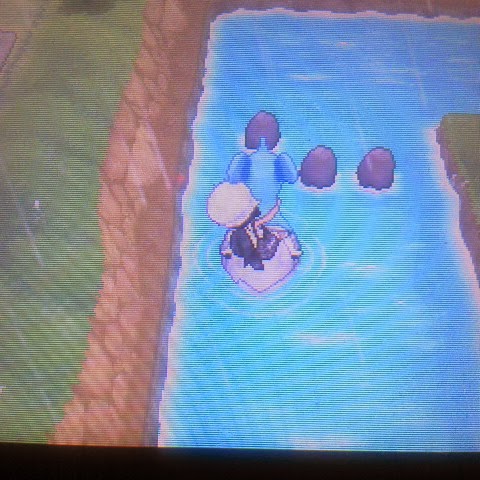 ポケットモンスターy攻略メモ 連続釣りで色違いポケモン 釣り連鎖のコツ 生臭坊主のゲームメモ