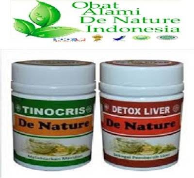 Obat Liver De Nature