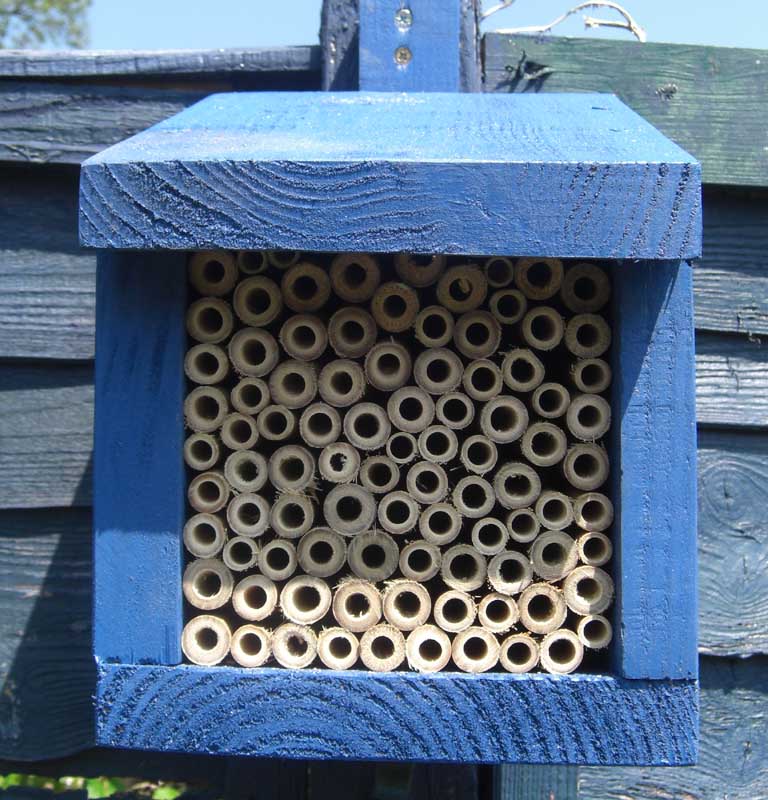 Bee Box Plans