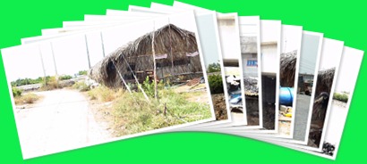 View album