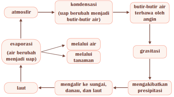 siklus hidrologi