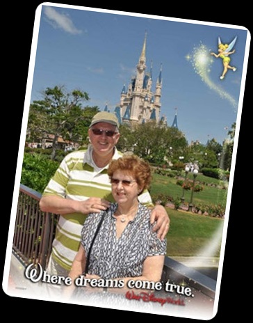 Where dreams come true