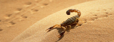 animals facebook timeline covers, scorpion facebook timeline cover photo, scorpio timeline cover