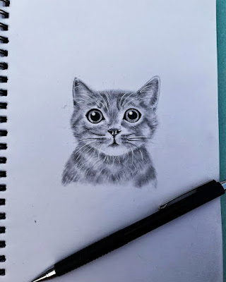 Cat Drawing Easy