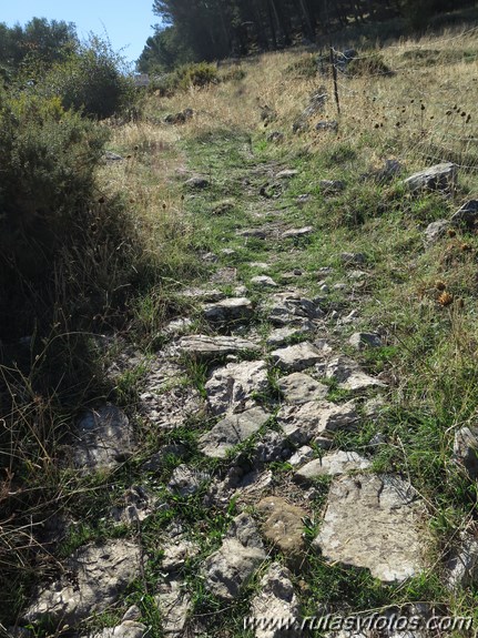 Calzada de Villaluenga a Grazalema