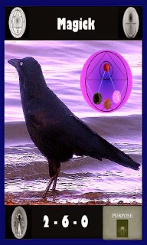 Raven Totem Animal