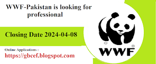 WWF-Pakistan Job Vacancies-2024