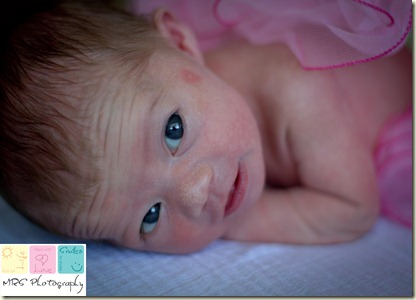 Solano County Newborn Baby Photography  (6 of 12)