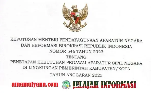Penetapan Rincian Formasi Kebutuhan ASN (CPNS dan PPPK) Kabupaten Pulau Morotai Tahun 2023