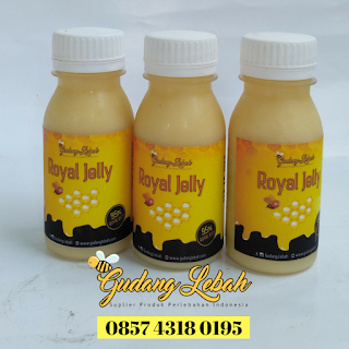 jual promil bekasi, cara cepat hamil, jual promil royal jelly, promil royal jelly bekasi, jual royal jelly bekasi, promil bekasi, beli promi di bekasi,