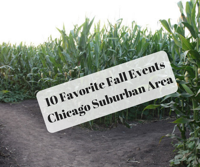 10 Favorite Fall Experiences in the Chicago Suburbs