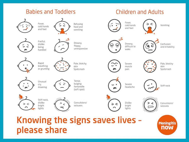 The signs of meningitis in infants children and adults by Meningitis Now