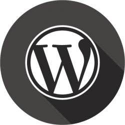Cara Disable RSS Feeds Wordpress